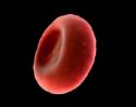 blood cell