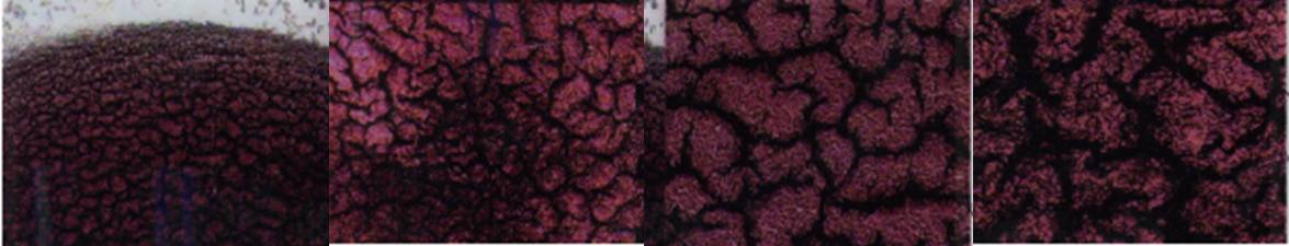 dry blood group good